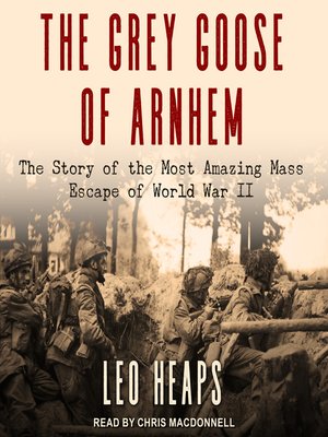 cover image of The Grey Goose of Arnhem